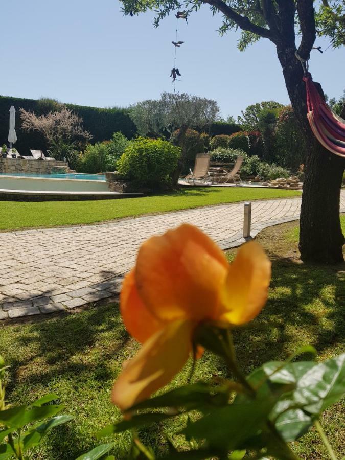 Apartamento Au pays de Cézanne Picasso Aix-en-Provence Exterior foto